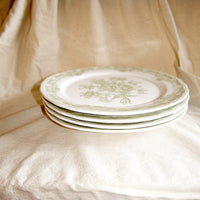 Darling Dinner Plate Set